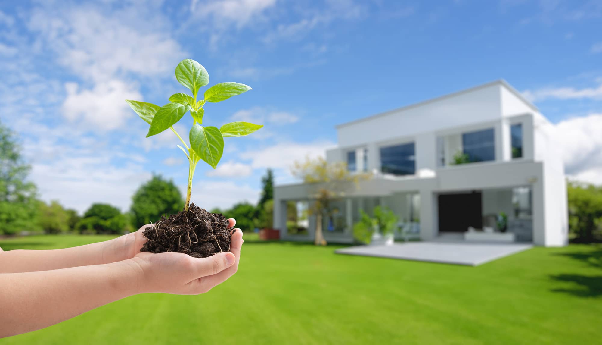 Selling a Green Home: What Buyers Want